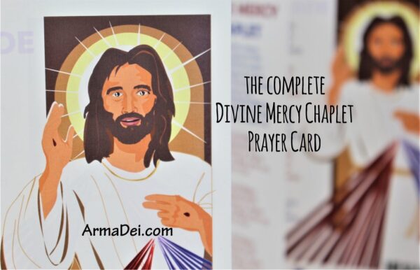 Divine Mercy Chaplet ~ Visual Devotional - Image 3