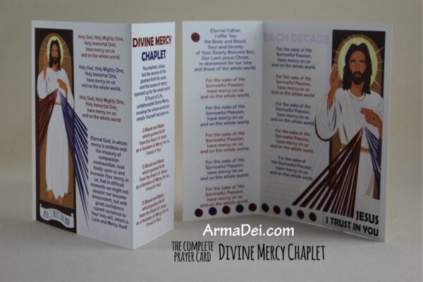 Divine Mercy Chaplet ~ Visual Devotional - Image 2