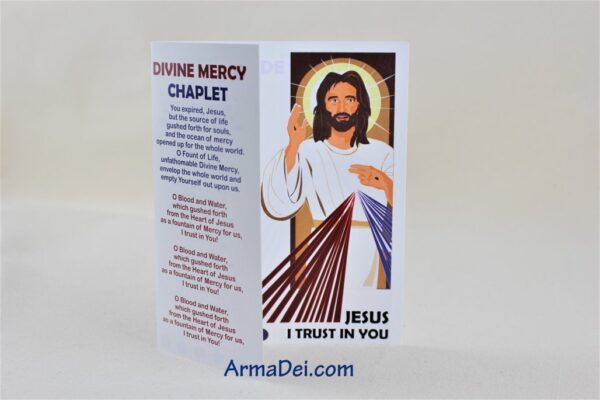 Divine Mercy Chaplet ~ Visual Devotional