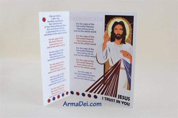 Divine Mercy Chaplet ~ Visual Devotional - Image 5