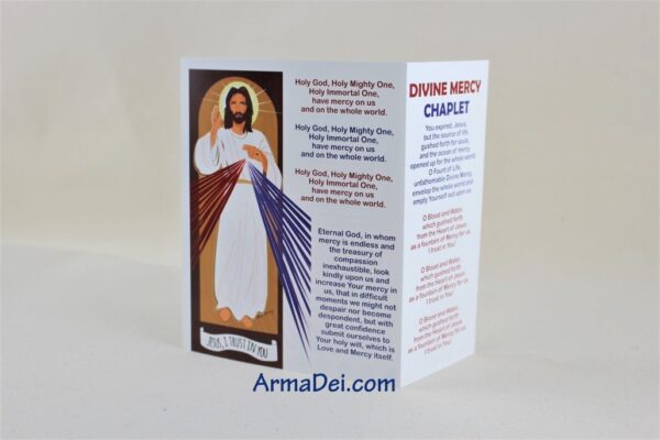 Divine Mercy Chaplet ~ Visual Devotional - Image 6